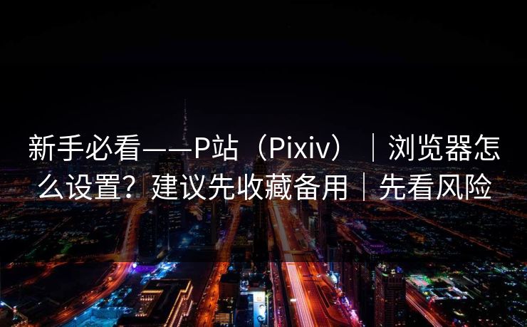 新手必看——P站（Pixiv）｜浏览器怎么设置？建议先收藏备用｜先看风险